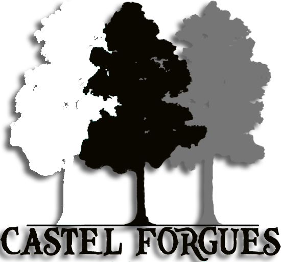 castel forgues castel forgues