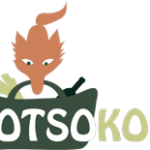 Otsokop